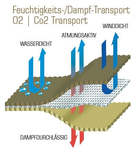 gore_grafik7.jpg